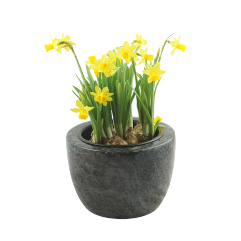 Granite grave bowl Modern 24 cm – Granite selection reddish-grey, blue-grey-black-reddish-brown, black, polished & dignified