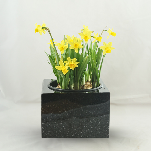 Granit-Grabschale Karree 30 cm – poliert & würdevoll