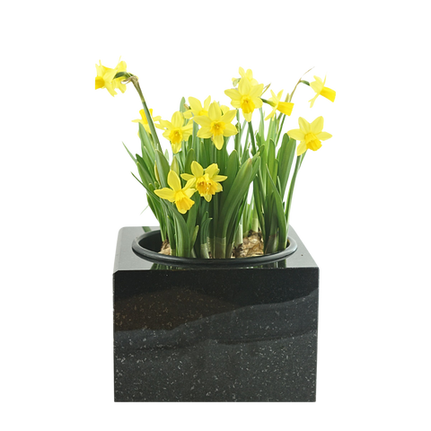 Granite grave bowl square 30 cm – polished & dignified