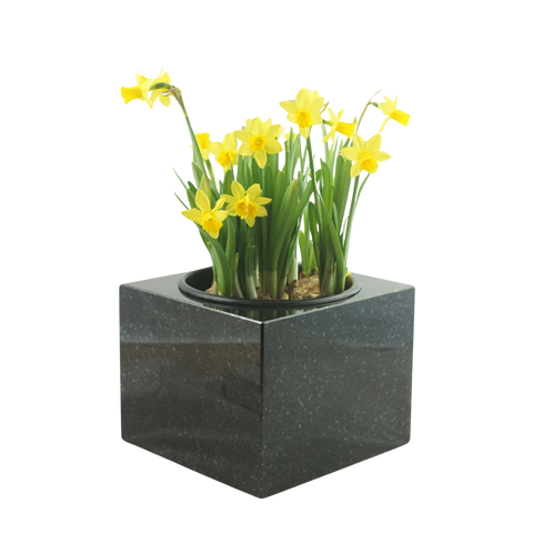 Granit-Grabschale Karree 30 cm – poliert & würdevoll