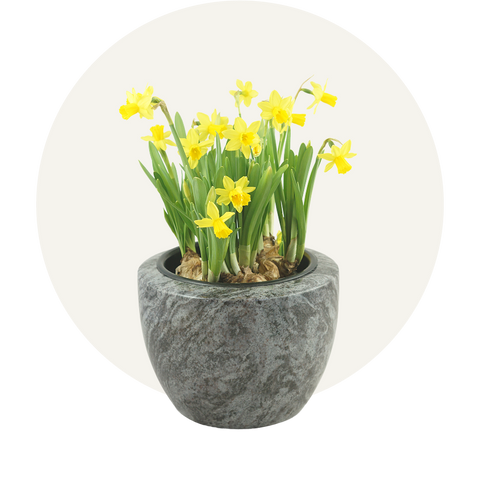 Grave bowls