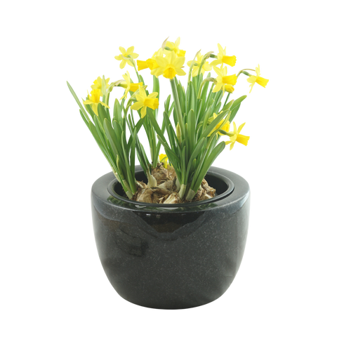 Granite grave bowl Modern 24 cm – Granite selection reddish-grey, blue-grey-black-reddish-brown, black, polished &amp; dignified