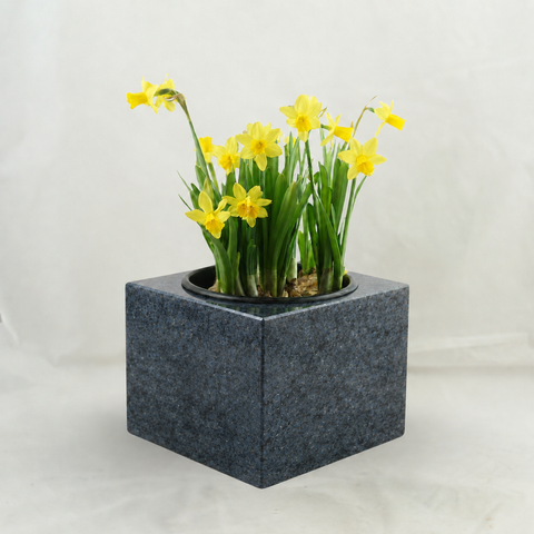 Granit-Grabschale Karree 30 cm – poliert & würdevoll
